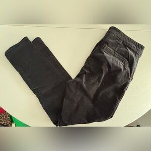 LOFT by Ann Taylor | women’s velvet sailor pants. Size: 14/32
